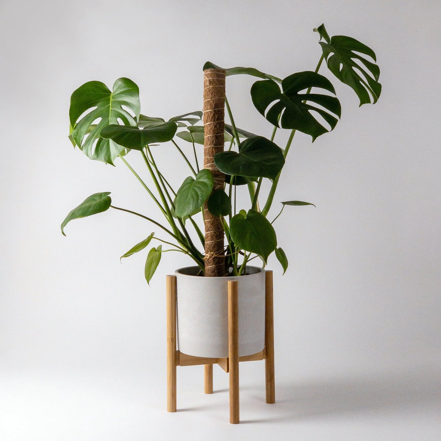 Natural Bamboo Planter Stand