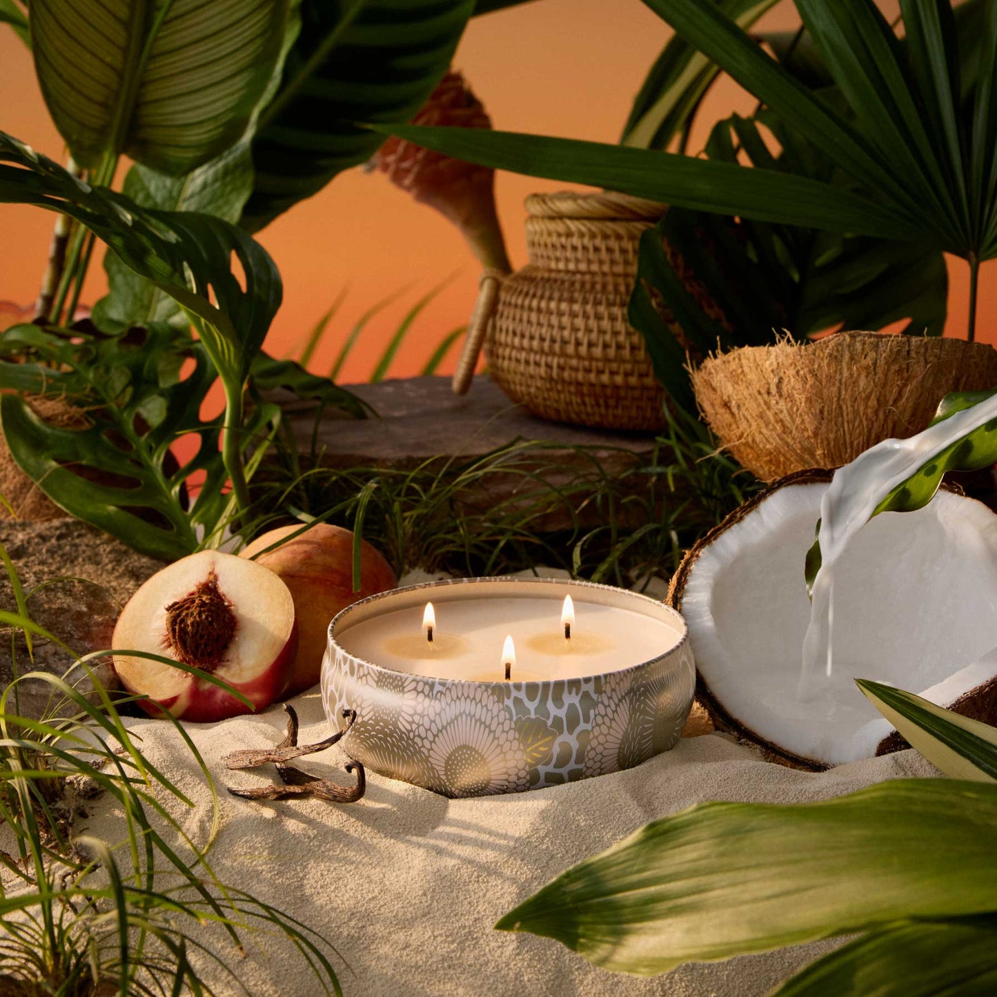 Tahitian Coconut 3 Wick