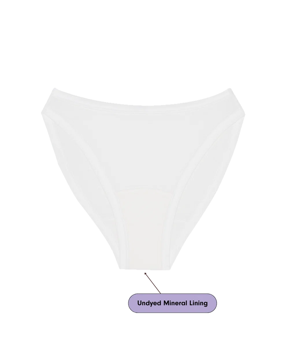 High Rise Bikini