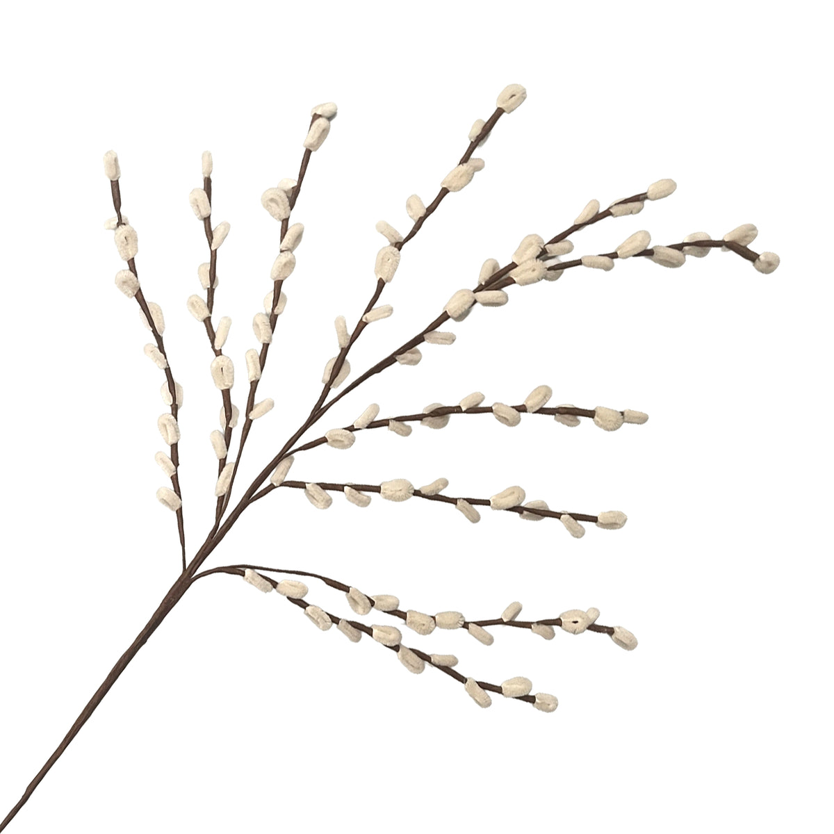 Pussy Willow Stem