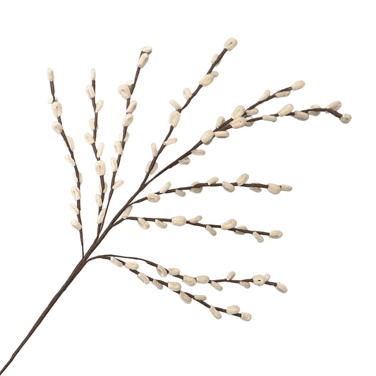 Pussy Willow Stem