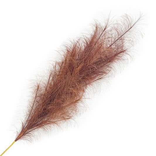 Brown Pampas Grass
