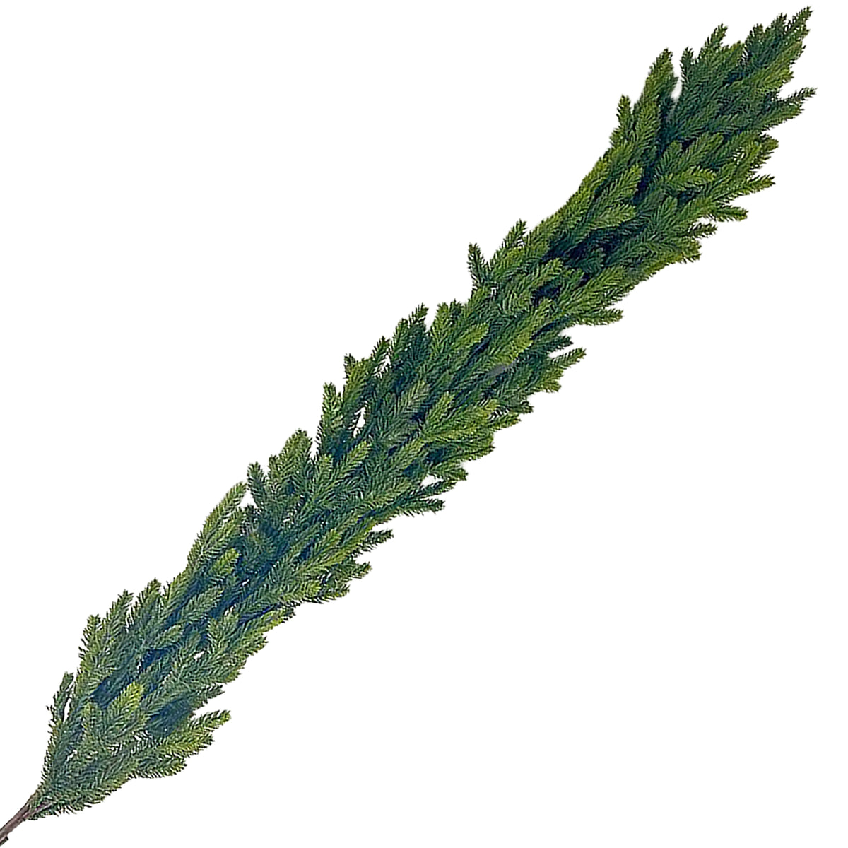 Fir Garland