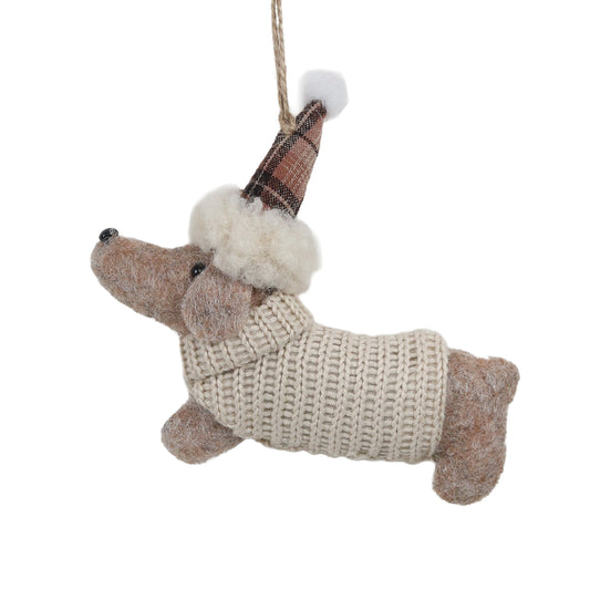 Dog in Knit Sweater