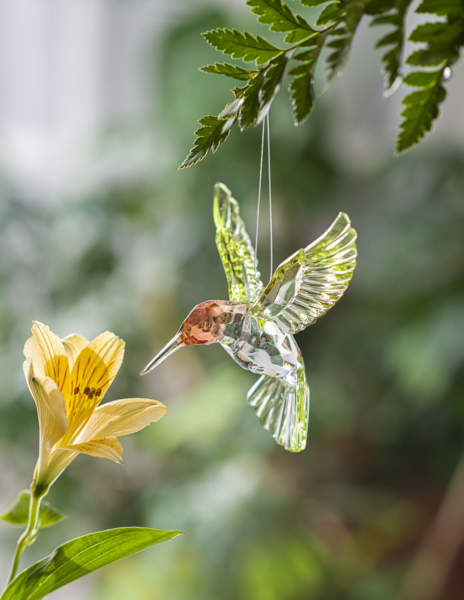 Red Throated Hummingbird