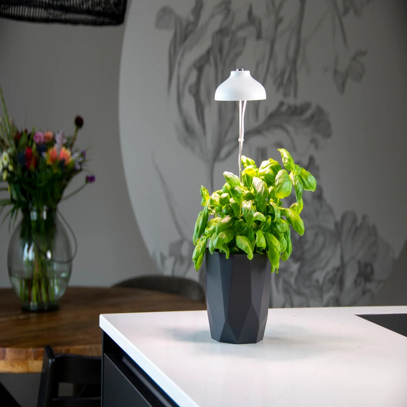 USB Plant Grow Light