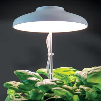 USB Plant Grow Light