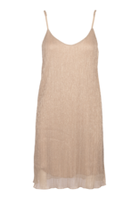 Sipping Bubbly Dress