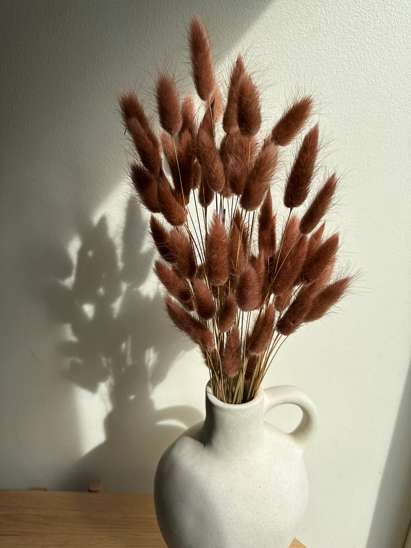 auburn-bunny-tails