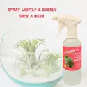 Air Plant Mist