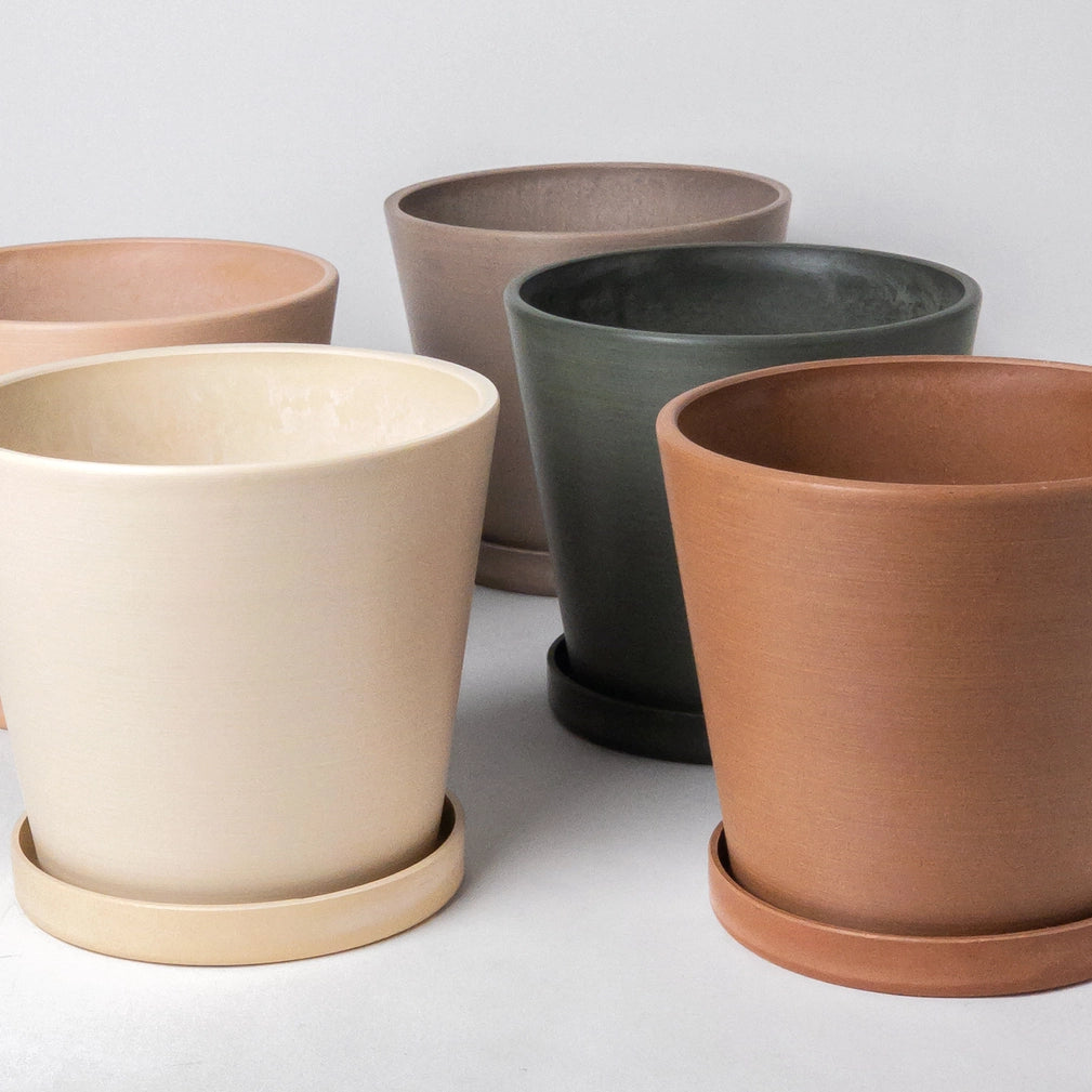 Beachwood 7" Tapered Pot w/saucer