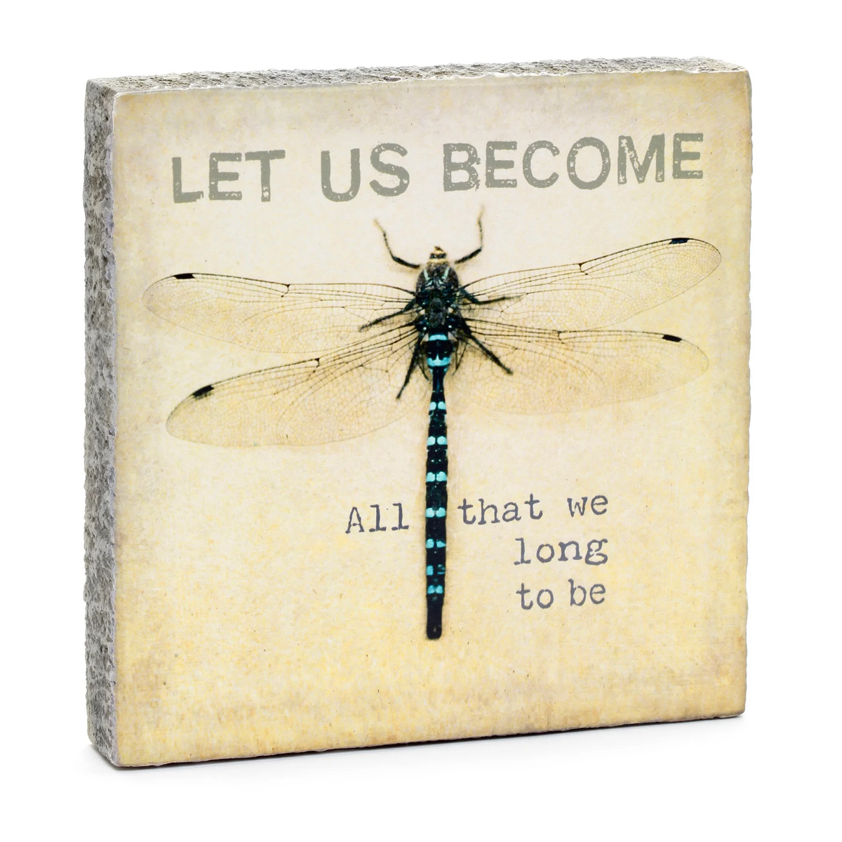 let-us-become-dragonfly-art-block