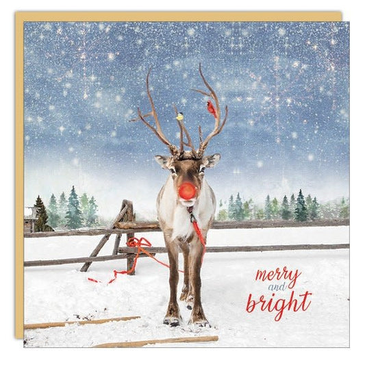 merry-and-bright-rudolph-card