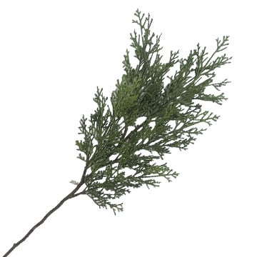 natural-cedar-spray-34
