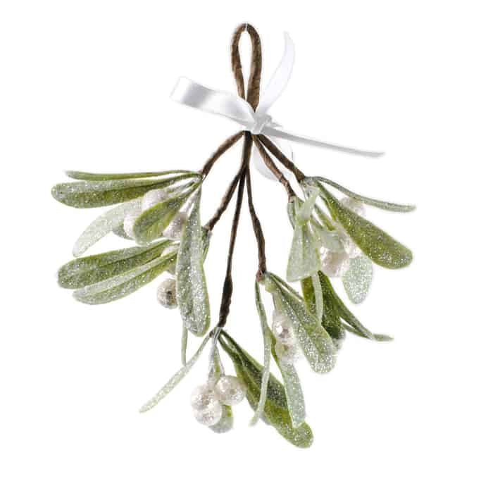 8-hanging-mistletoe