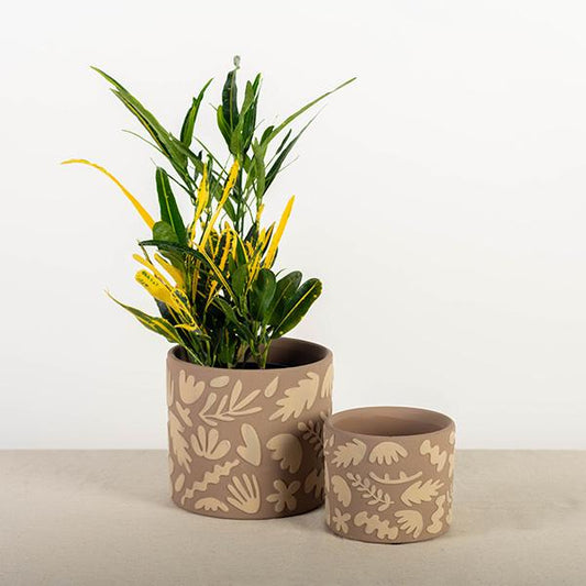 Brown Pot w/Leaves