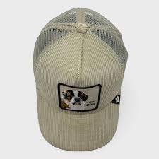 Corduroy Top Dog