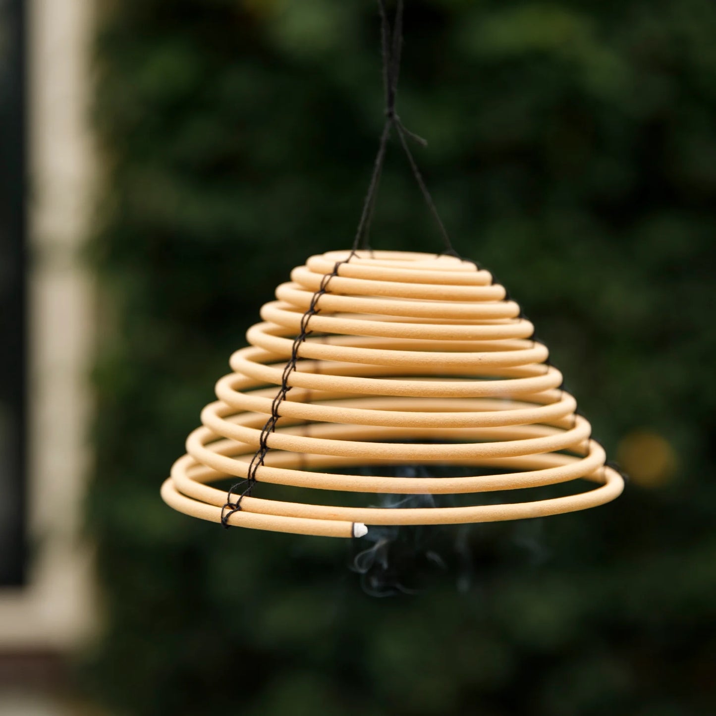 Citronella Coil