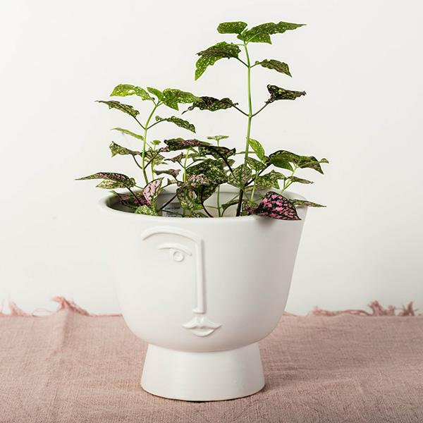 face-pot-6