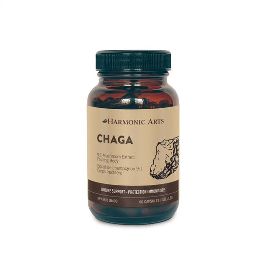 chaga-mushroom-capsules