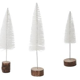 white-wispy-tree-185