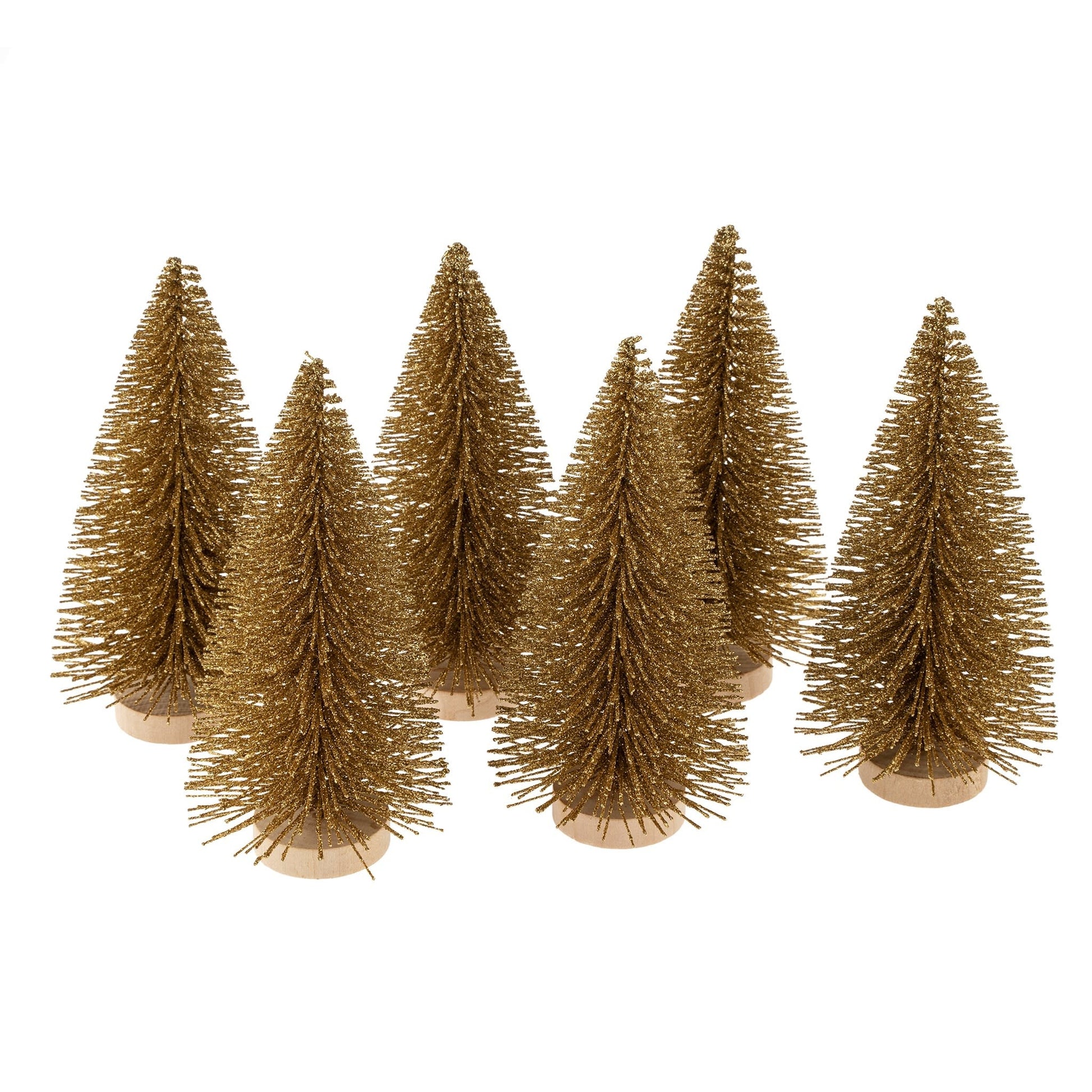 gold-bottlebrush-tree-6