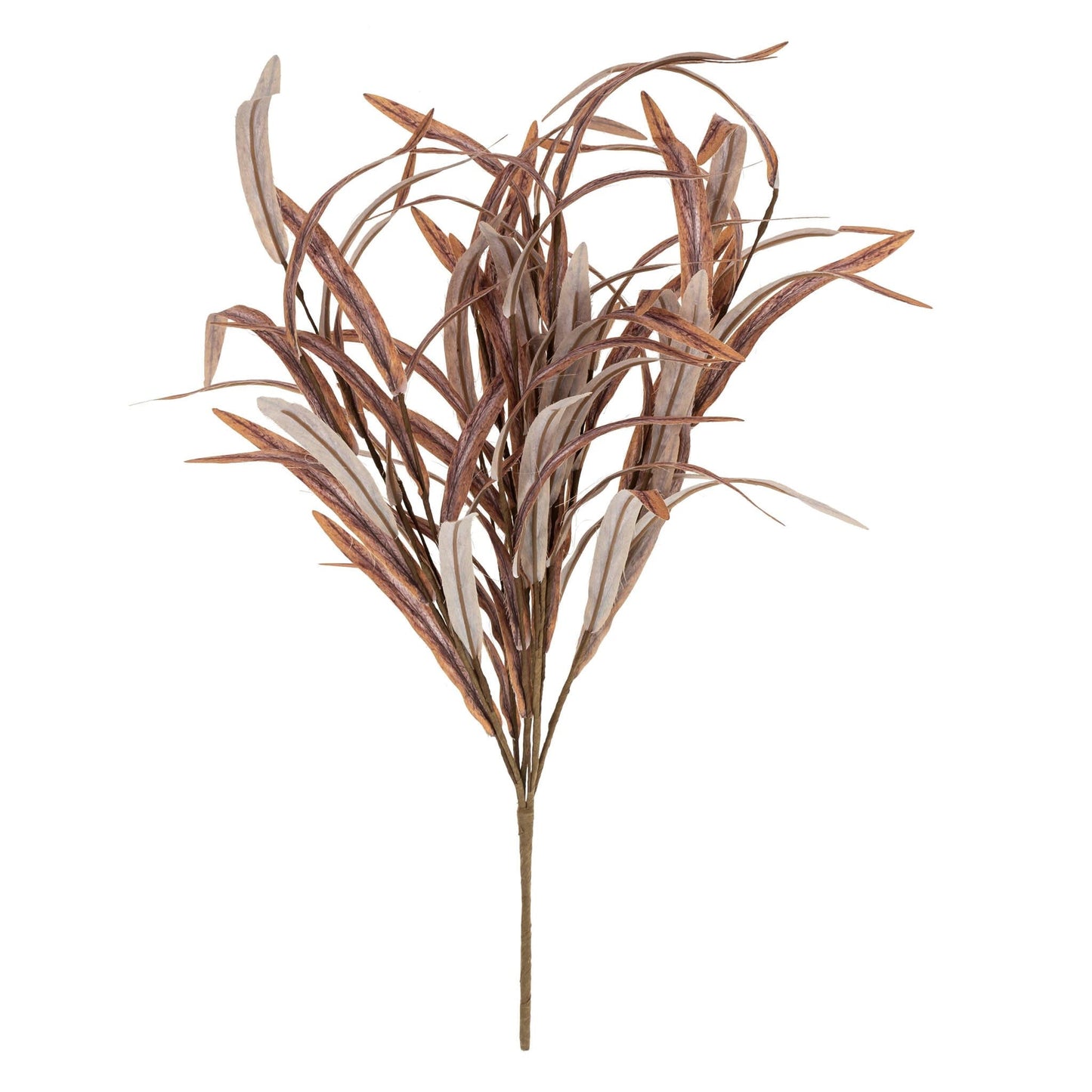 willow-sprig