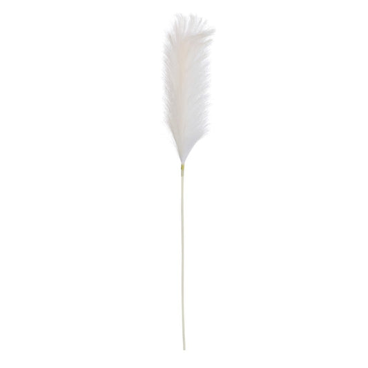 plume-grass-white-41