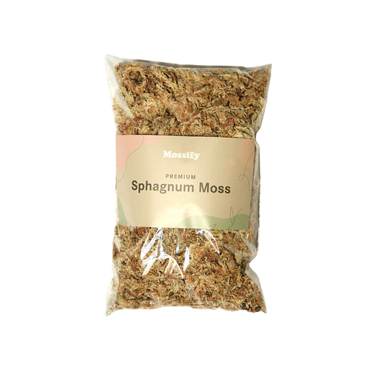 premium-natural-sphagnnum-moss