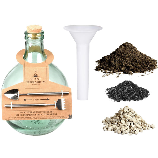 diy-terrarium-bottle-5-lt