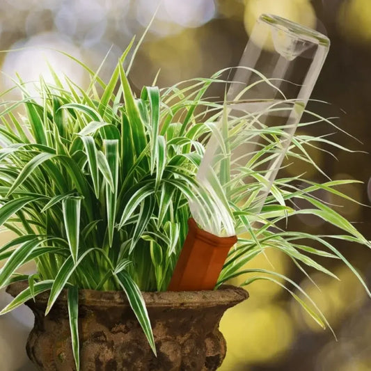 plant-water-spike-for-winebottle