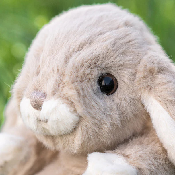 Kanini Bunny