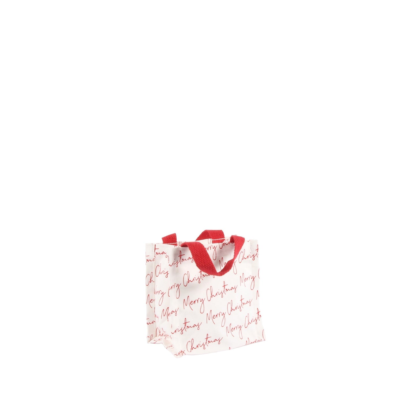 Merry Christmas Gift Bag