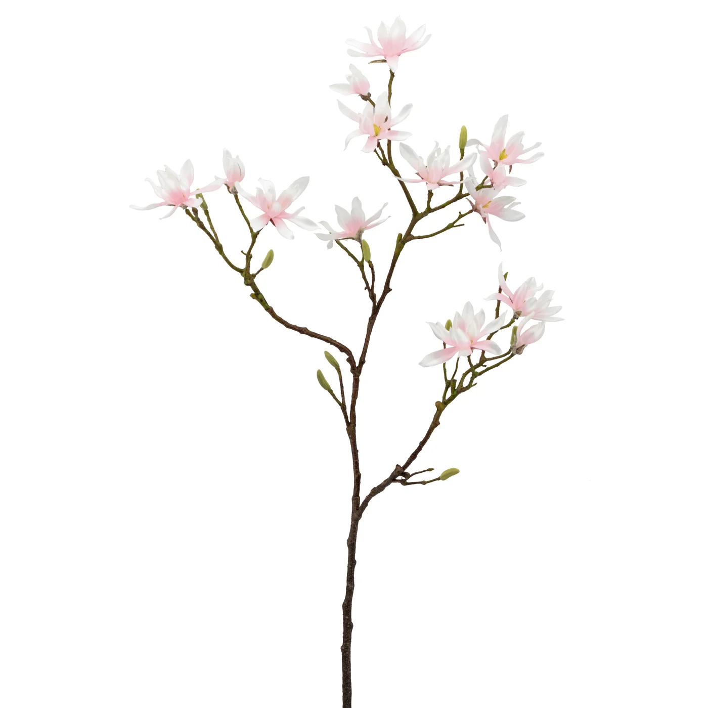 pink-magnolia-spray-stem-46