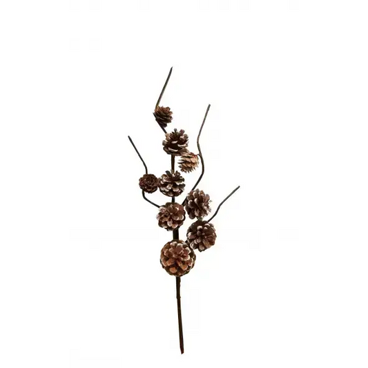 pine-cone-pick