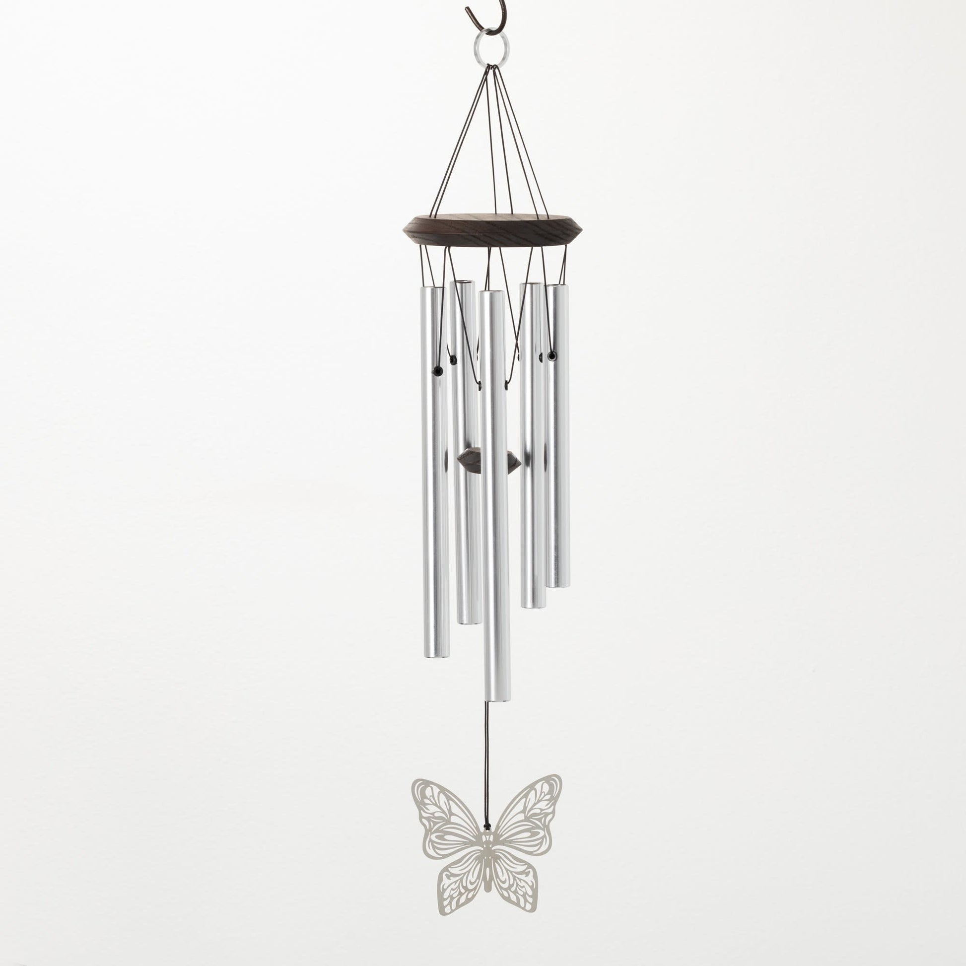 woodstock-habitats-mirror-butterfly